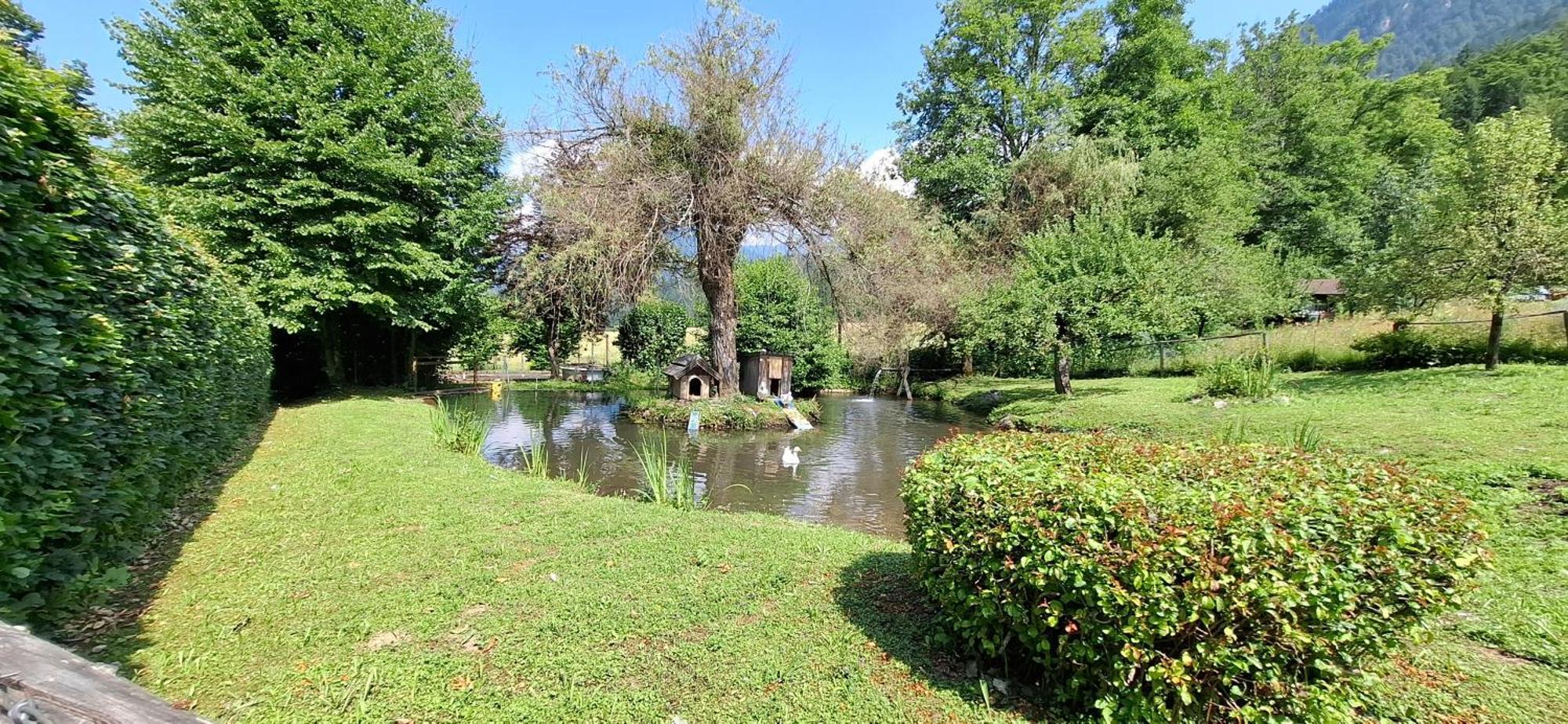 Ferienwohnungen Schloss Wasserleonburg Nötsch 외부 사진